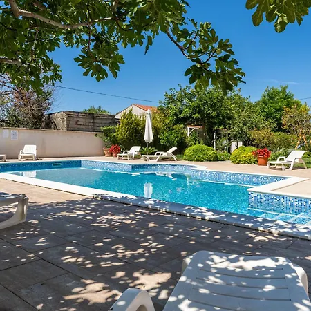 Bonex-9 By Interhome Apartment